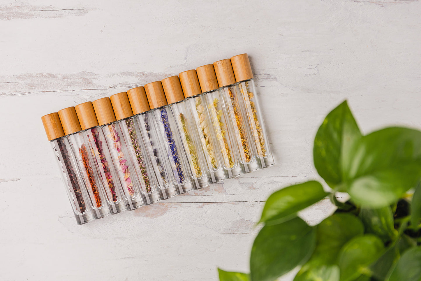 Botanical Roller Bottle Deluxe Collection