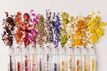 Load image into Gallery viewer, Botanical Roller Bottle - Hops
